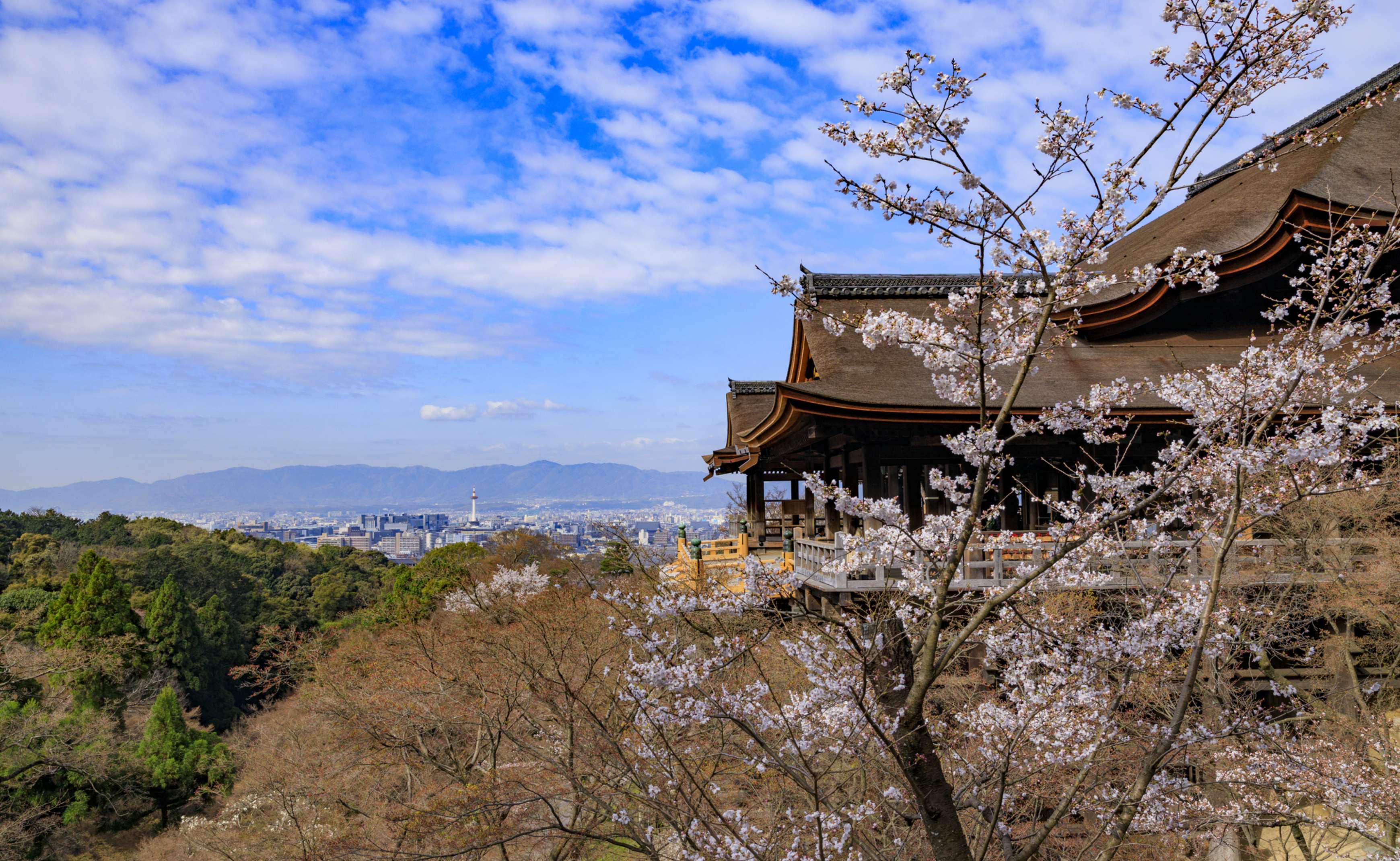 画像：コトブキ陶春 清水焼 陶芸体験